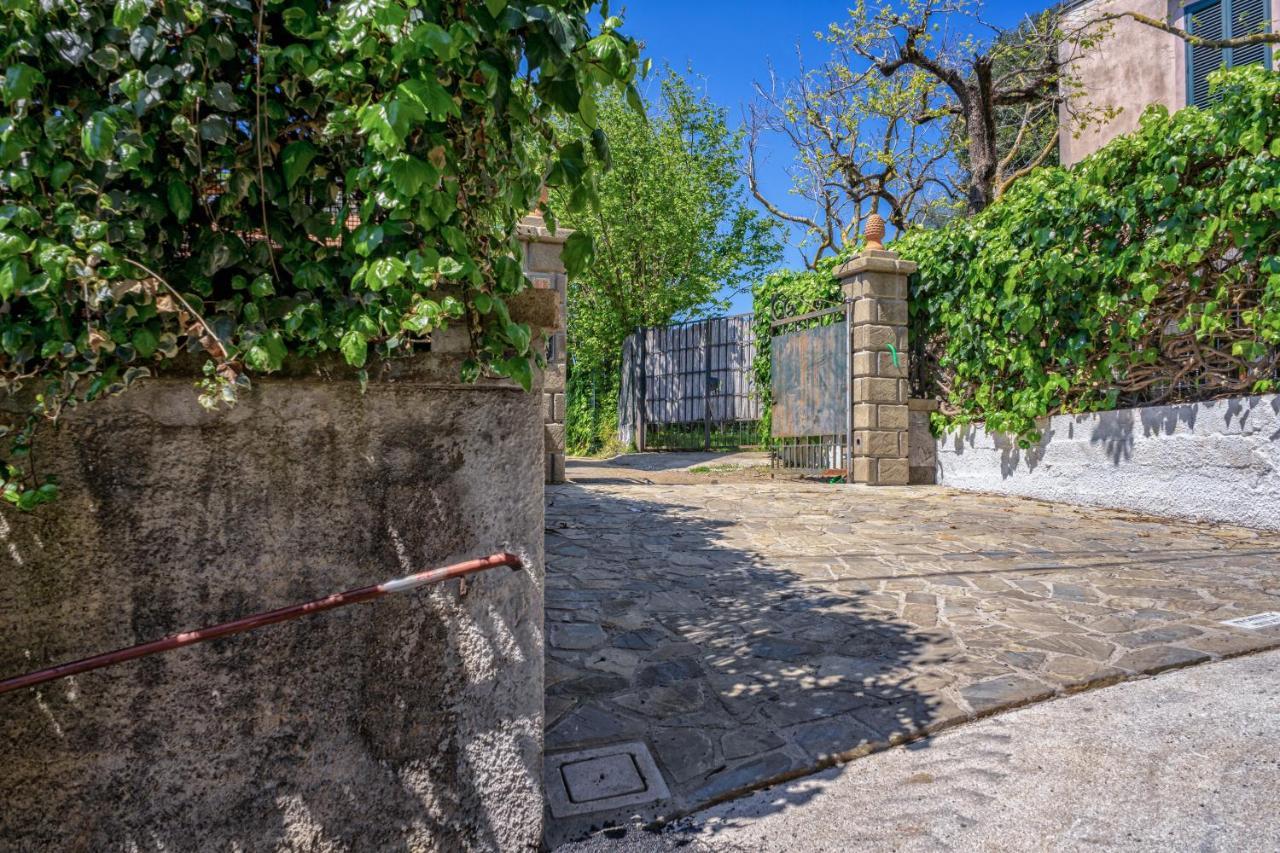 Albero Di Giada Villa Massa Lubrense Ngoại thất bức ảnh