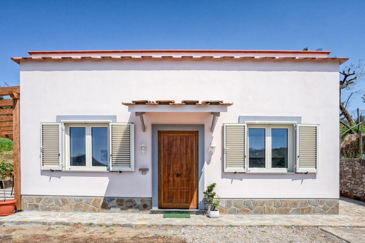Albero Di Giada Villa Massa Lubrense Ngoại thất bức ảnh