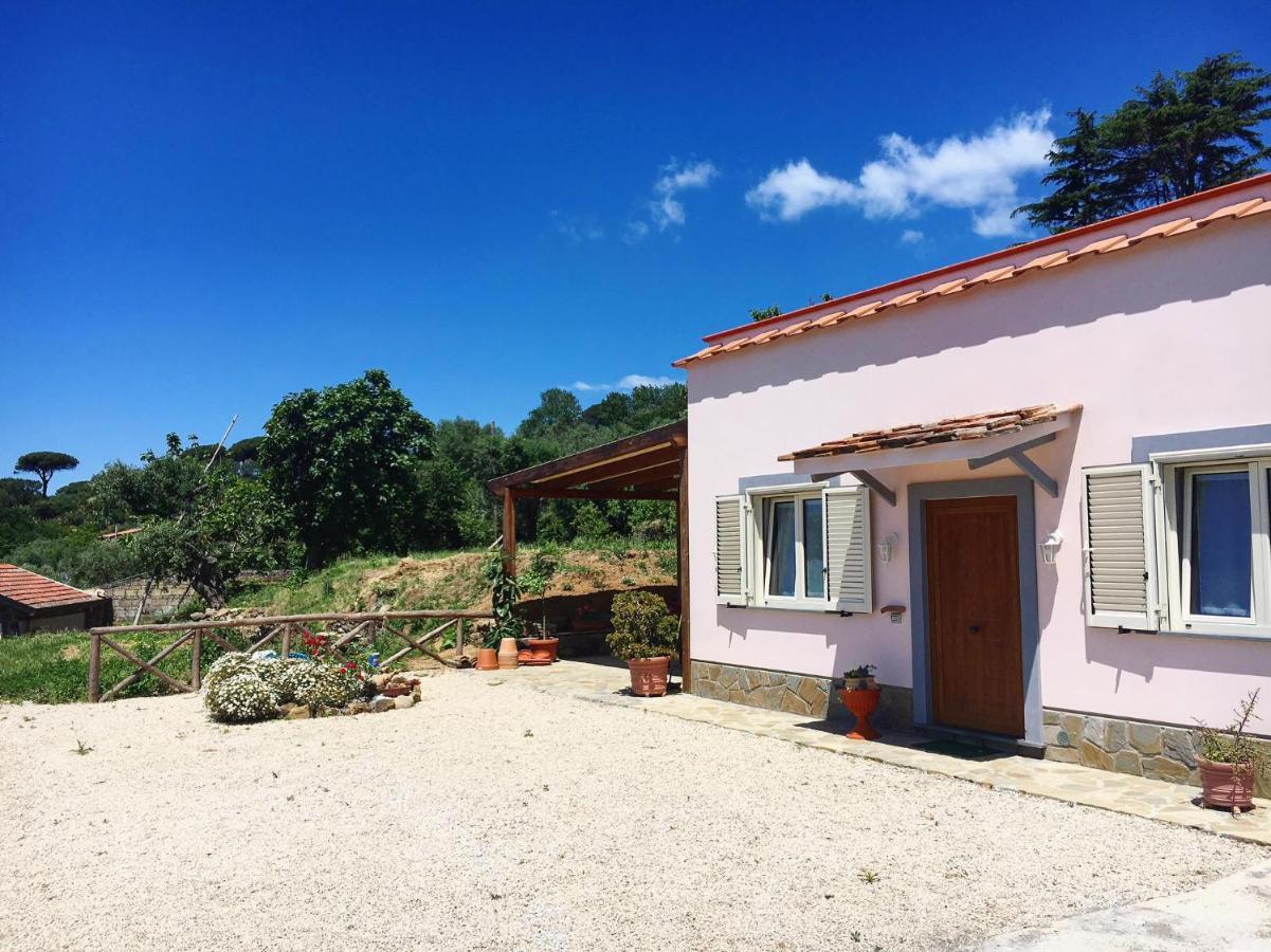 Albero Di Giada Villa Massa Lubrense Ngoại thất bức ảnh